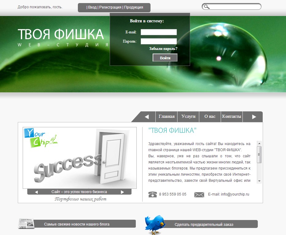 Сайт web-студии "Твоя Фишка" 