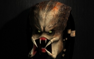 Predator