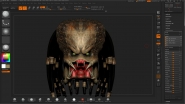 Predator