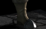 boot