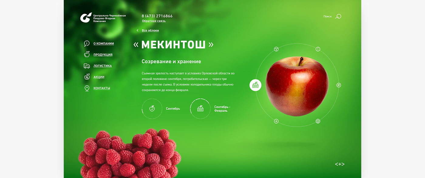 Центрально-Чернозёмная Плодово Ягодная Компания