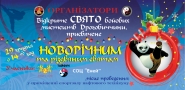 флаєр "Свято бойових мистецтв"