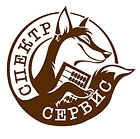 Лого для Бух. аудита