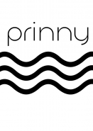 Логотип для бренда одежды "Prinny"