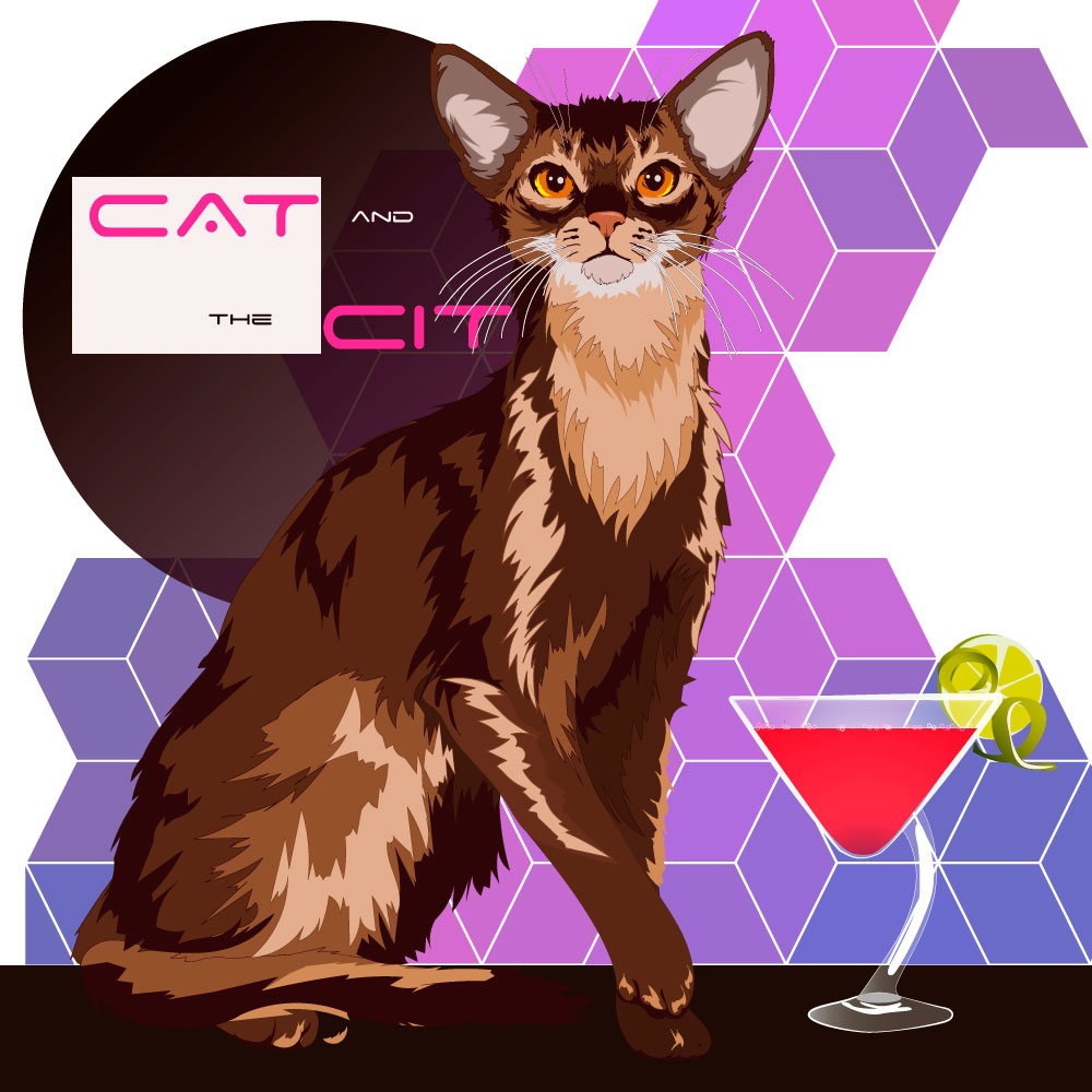 vector illustration