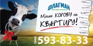 Реализованные проекты