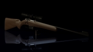 CZ-527