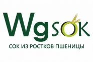 логотип Wgsok