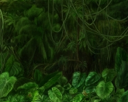 bacground_jungle