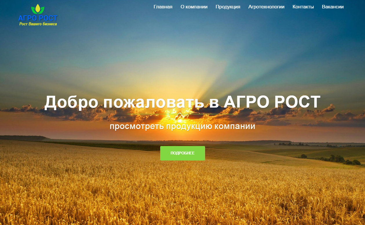Визитка, корпоративный сайт 3