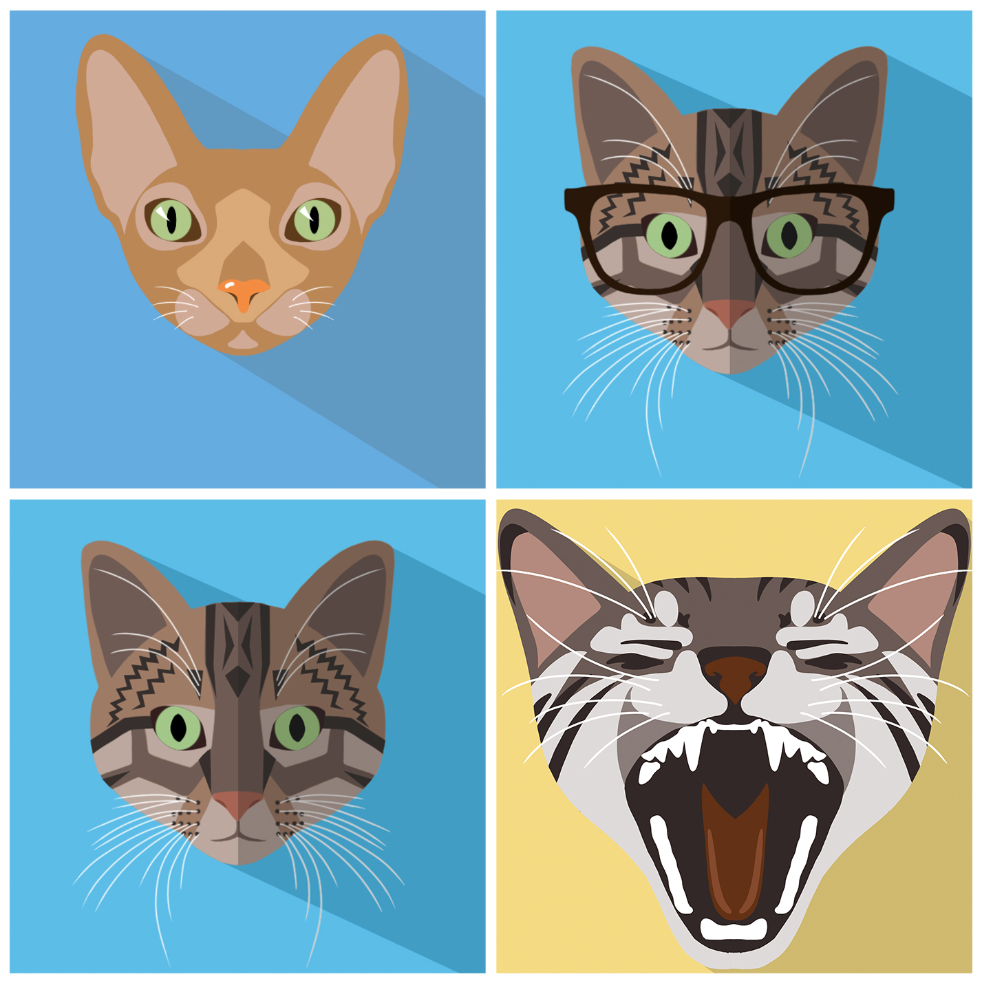 Flat Animals