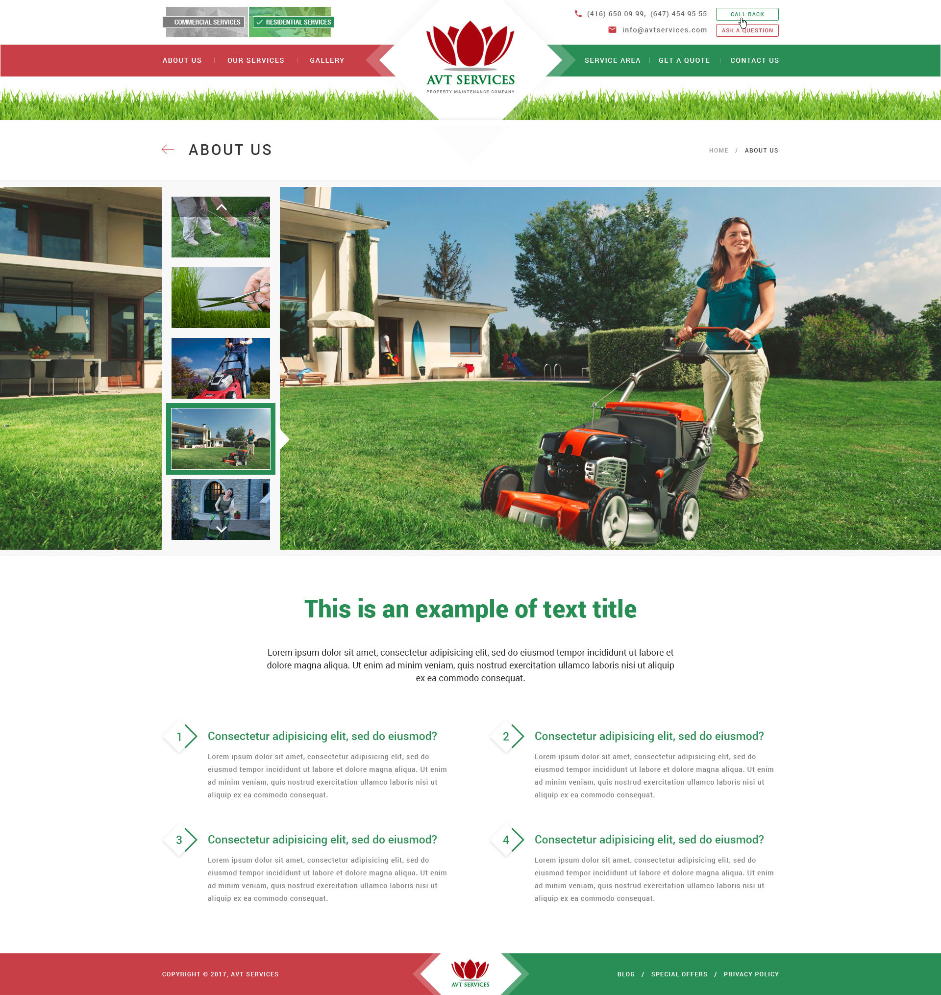 AVT services