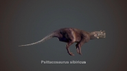 Psittacosaurus sibiricus