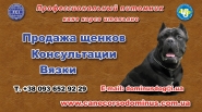 Визитка