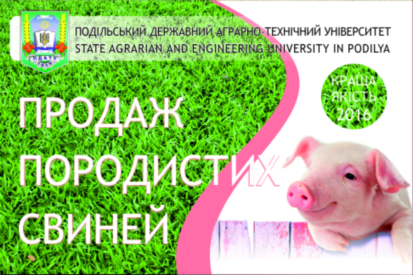 баннер 