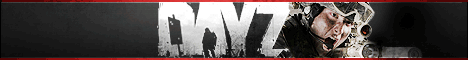 Баннер DayZ