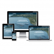Посадочная страница (Landing Page) "ФОРЕЛЬ СПб"