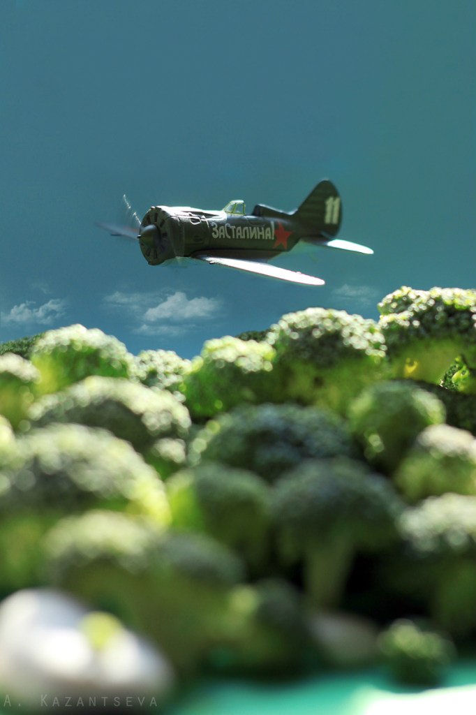 Over the broccoli forest
