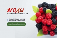баннер