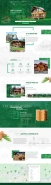 cedarhome