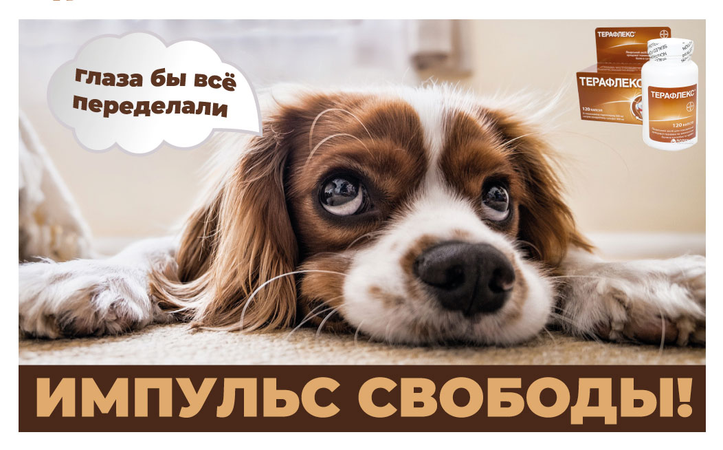 Тестовое задание для креативщика на тему “боль в суставах”