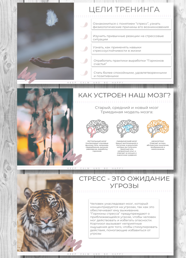Презентация