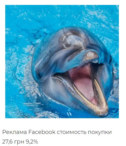 Продажи с рекламы в соц.сетях