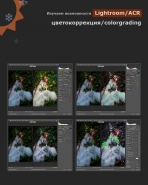 Качественное индивидуальное онлайн-обучение по Photoshop, Lightroom для фотографов, дизайнеров и художников.