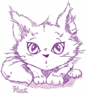 Кот