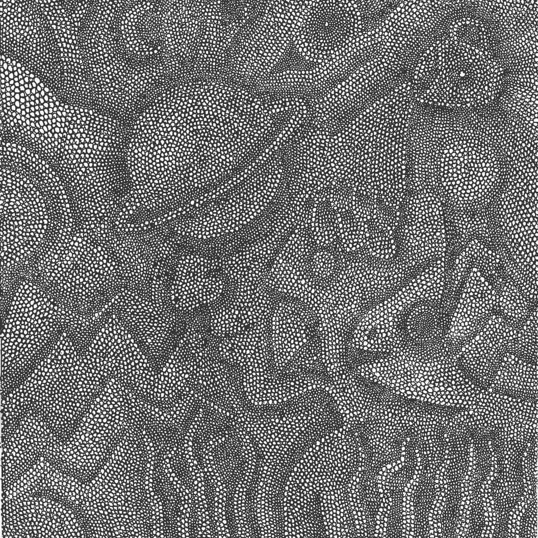 Art & Illustration