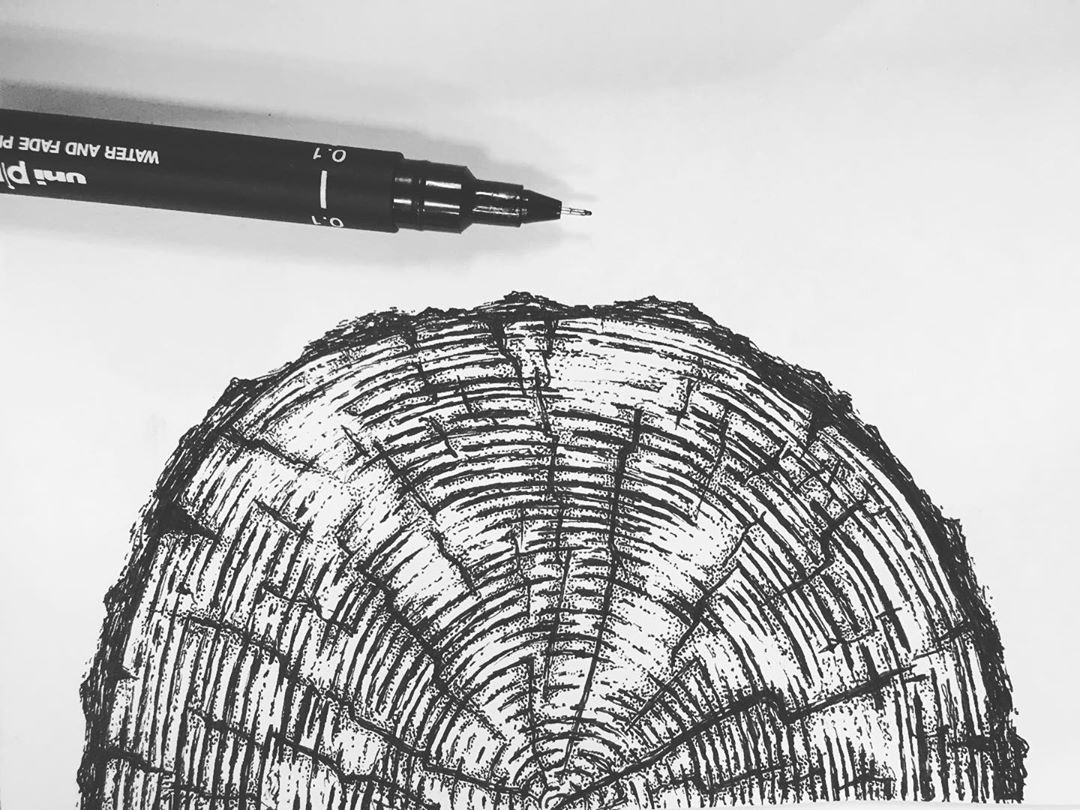 Art & Illustration