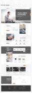 Design site for IT company