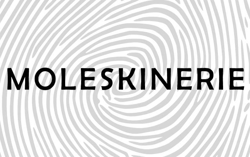 логотип серии блокнотов MOLESKINERIE