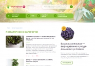 WP Наполнение сайта контентом