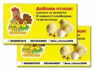 Визитка