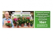 Банер на сайт в нише товары для дачи 