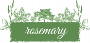  the logo