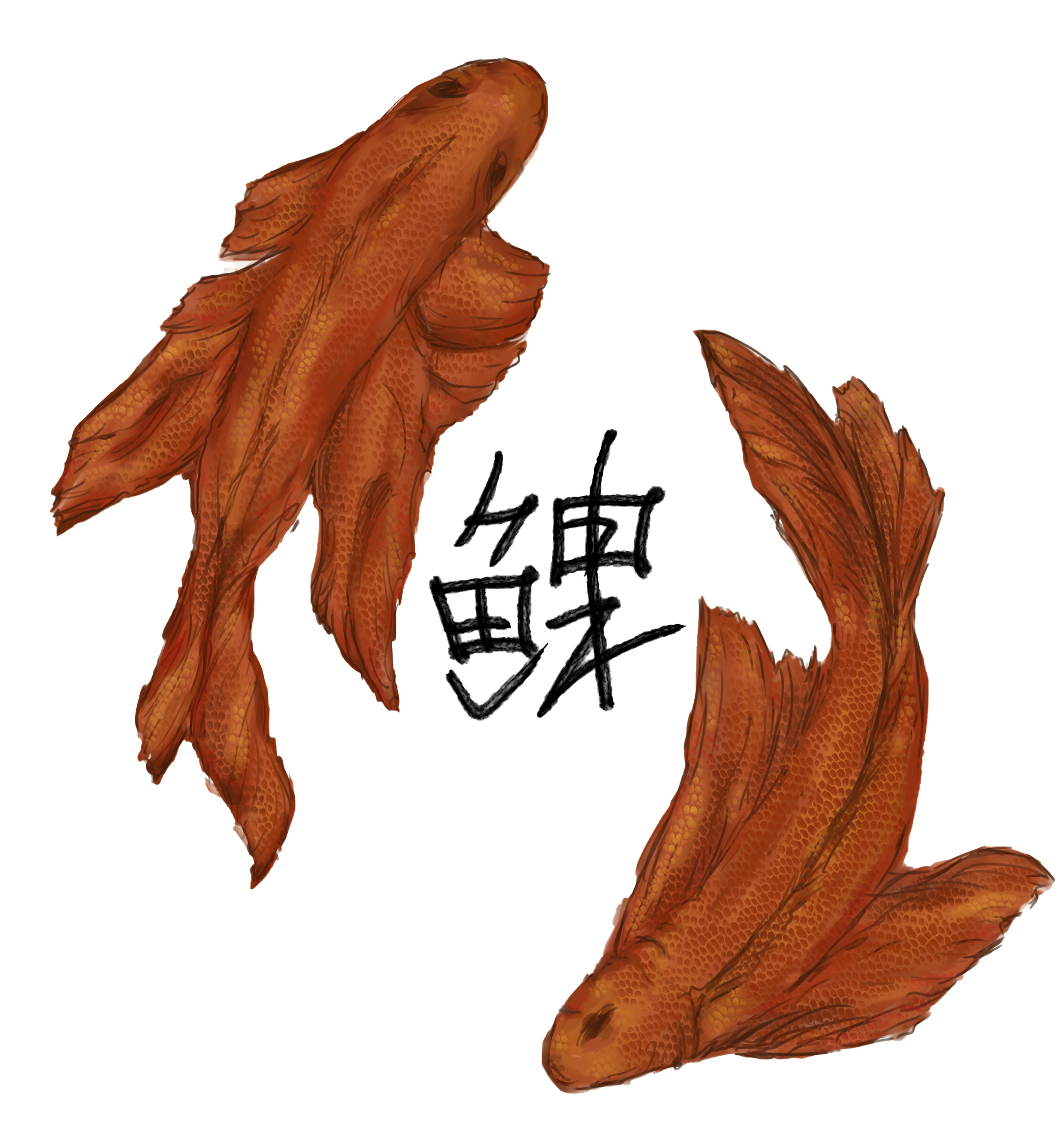 Рибки коі