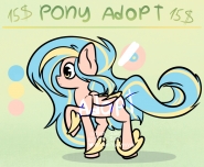 Pony