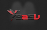 Логотип и ФС для компании "BASV"
