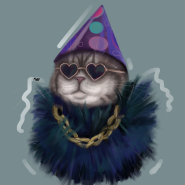 Котик