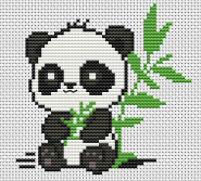 Panda.jpg